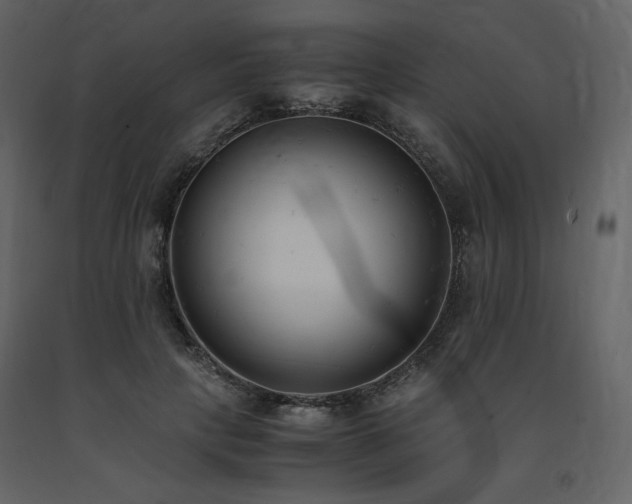 X0000091660649200708231307