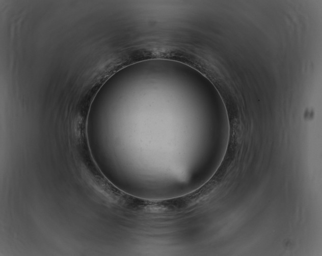 X0000091660650200708231307