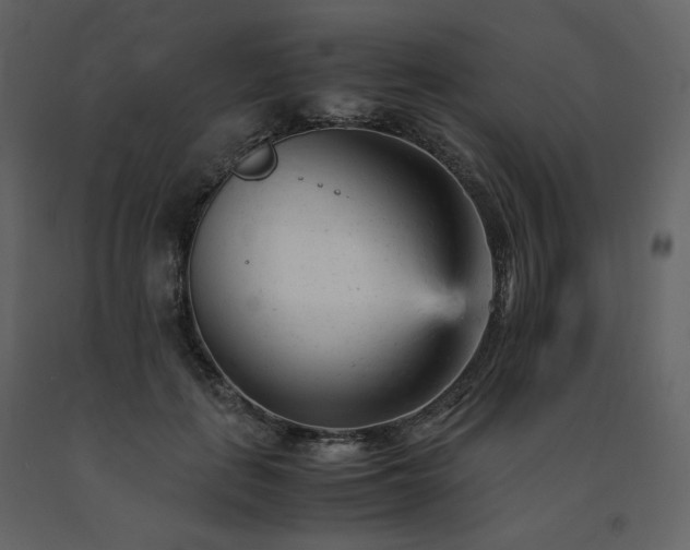 X0000091660651200708231307