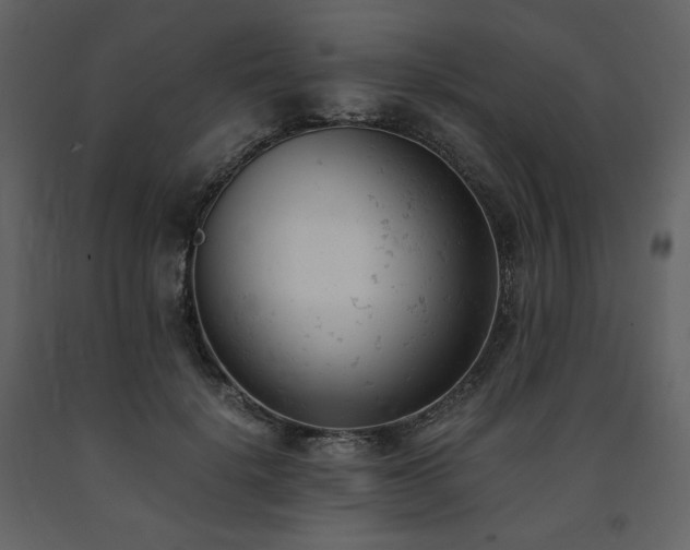 X0000091660652200708231307