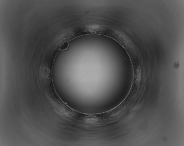 X0000091660653200708231307