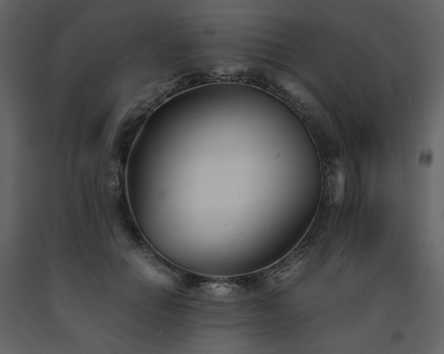 X0000091660654200708231307