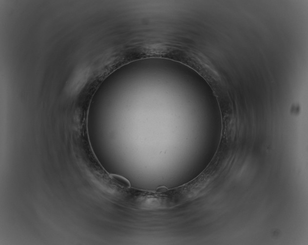 X0000091660655200708231307