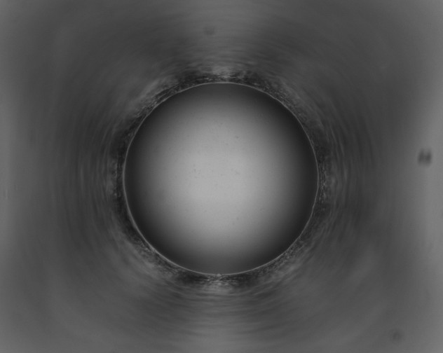 X0000091660656200708231307