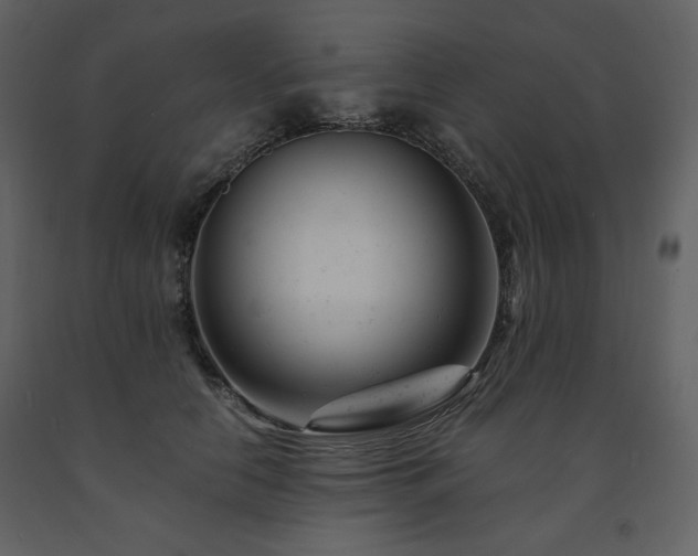 X0000091660658200708231307