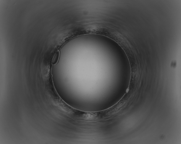 X0000091660660200708231307