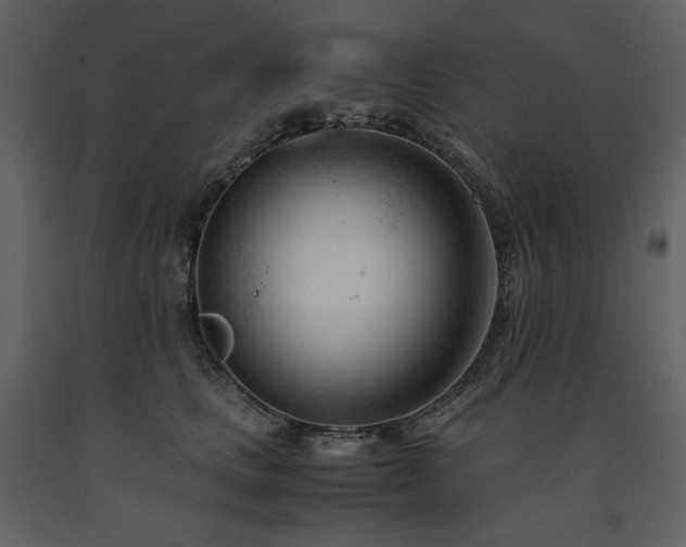 X0000091660661200708231307