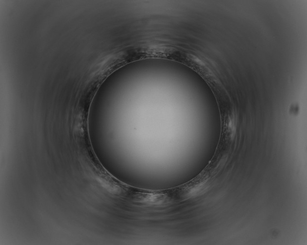 X0000091660663200708231307