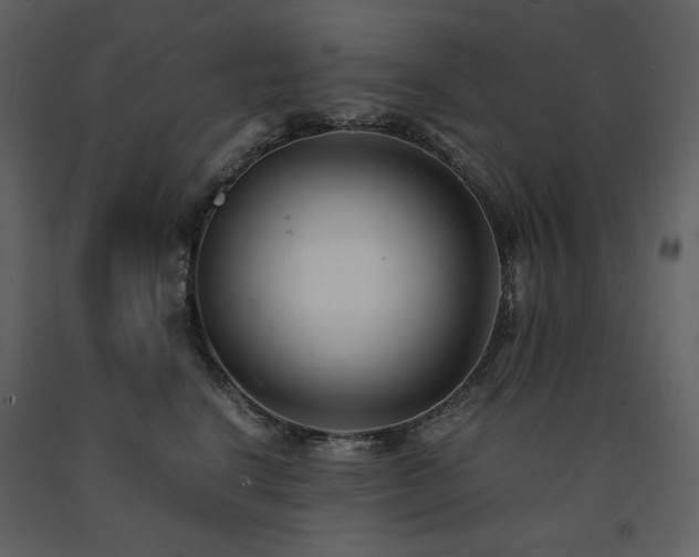 X0000091660664200708231307