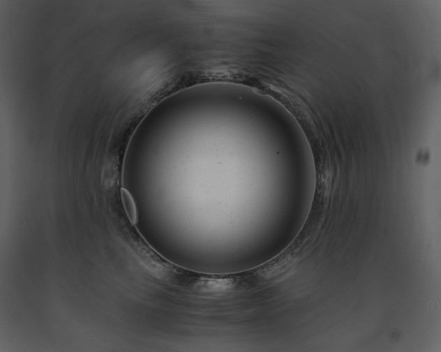 X0000091660665200708231307