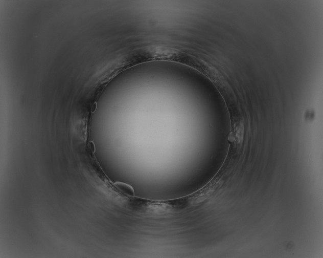 X0000091660666200708231307