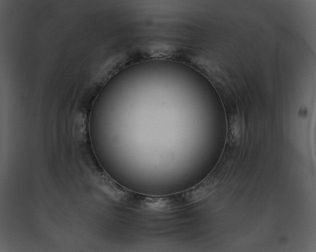 X0000091660667200708231307