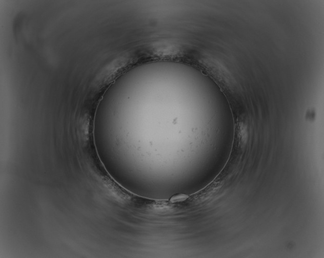 X0000091660668200708231307