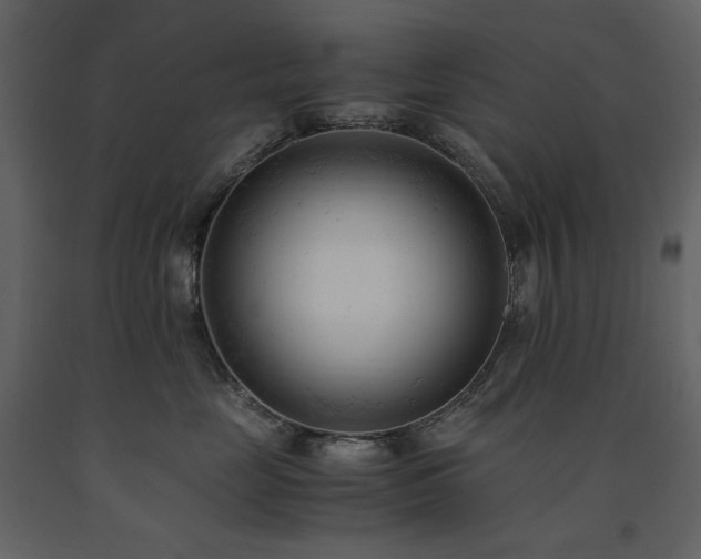 X0000091660669200708231307