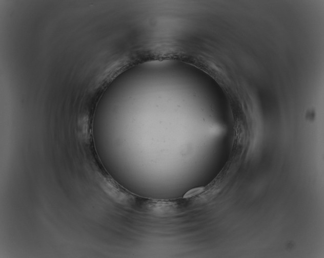 X0000091660670200708231307
