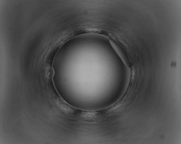 X0000091660671200708231307