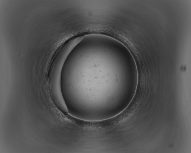 X0000091660673200708231307
