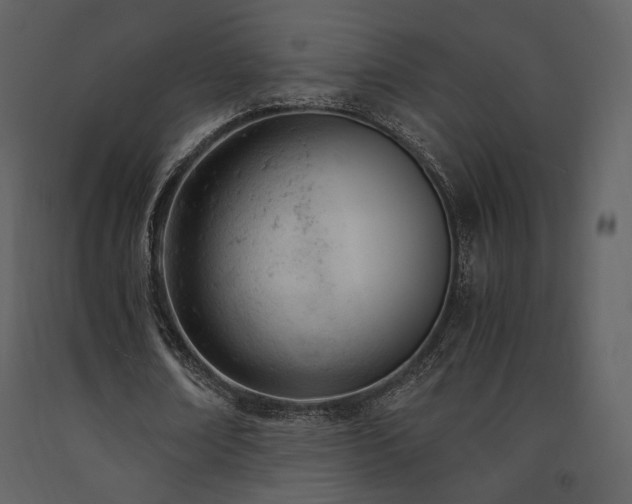 X0000091660674200708231307