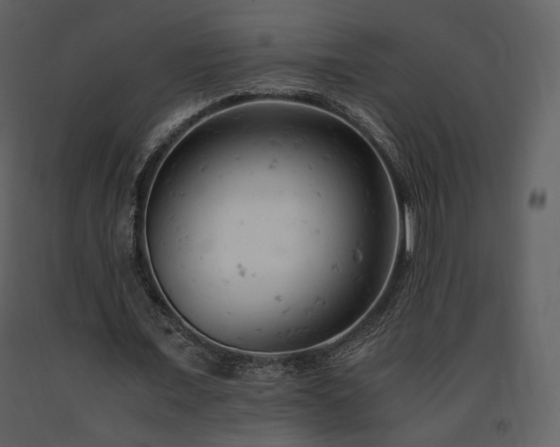 X0000091660675200708231307