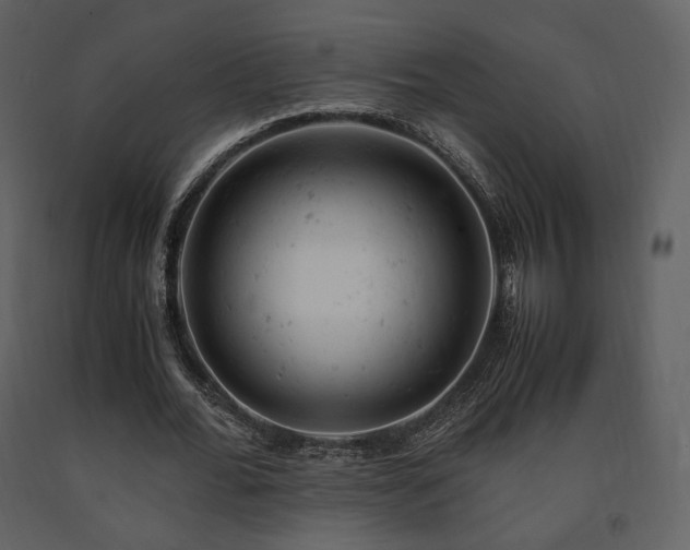 X0000091660676200708231307