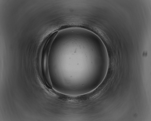 X0000091660677200708231307