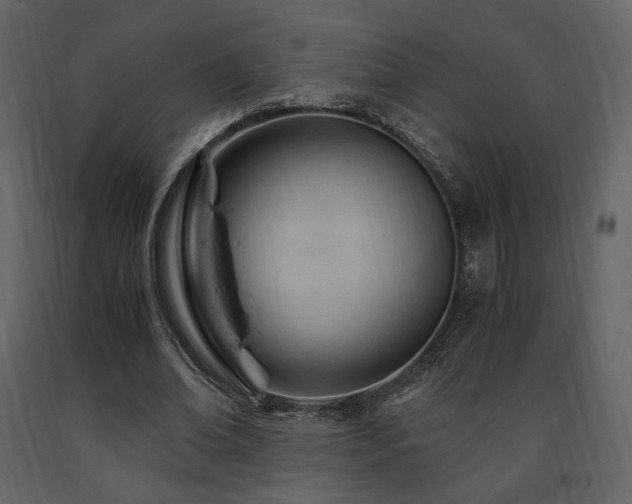 X0000091660678200708231307