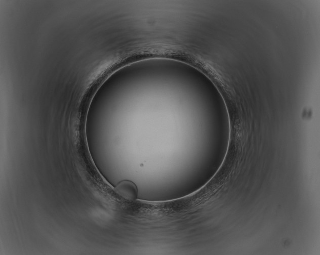 X0000091660679200708231307