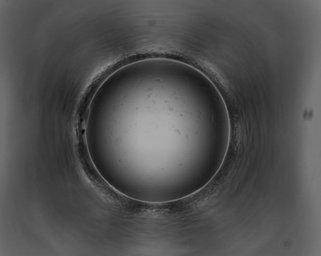 X0000091660680200708231306