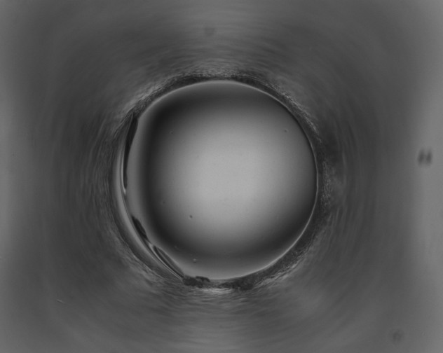 X0000091660681200708231306