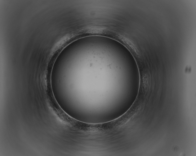 X0000091660682200708231306