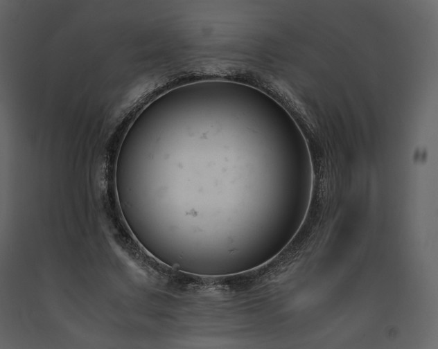 X0000091660683200708231306