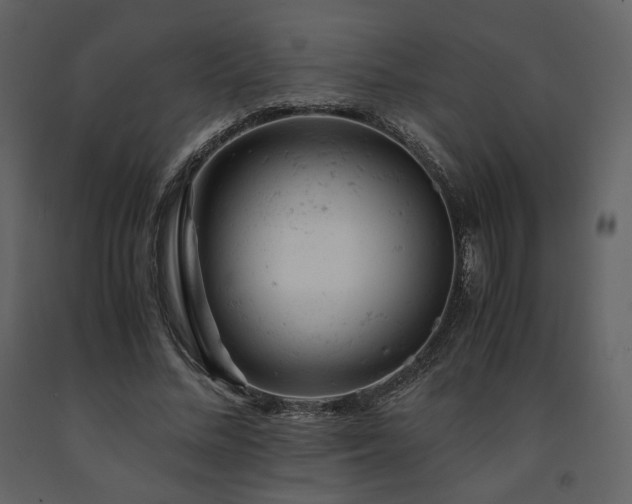 X0000091660684200708231306