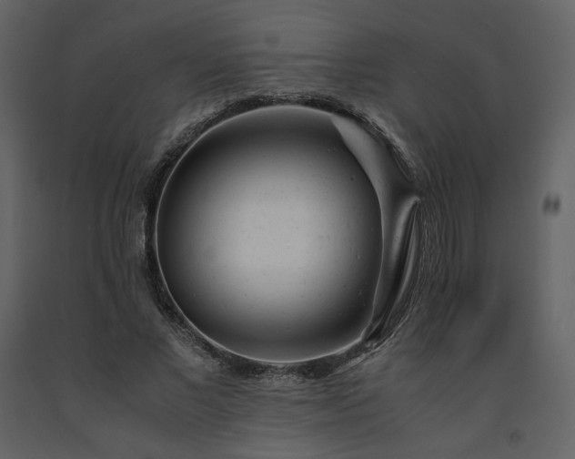 X0000091660685200708231306