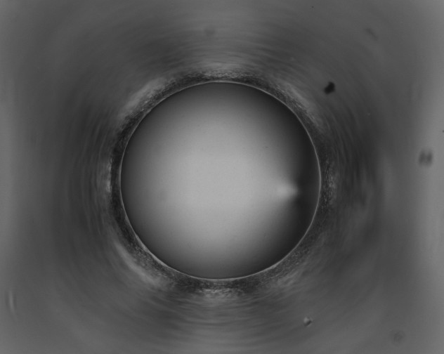 X0000091660686200708231306