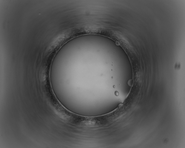 X0000091660687200708231306