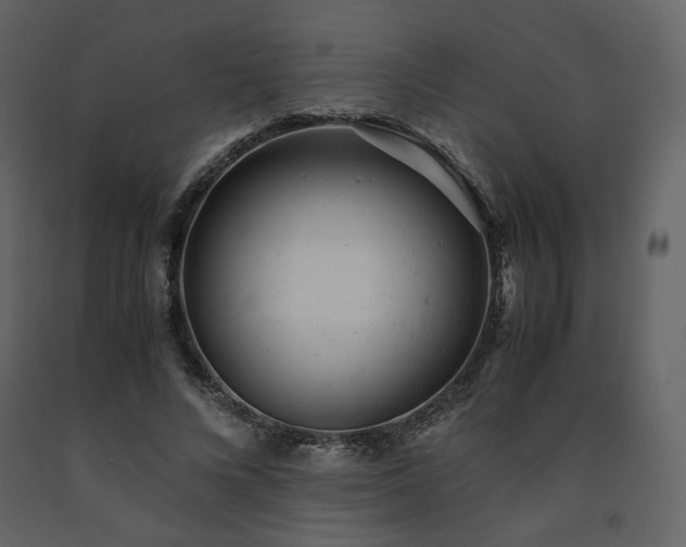 X0000091660688200708231306