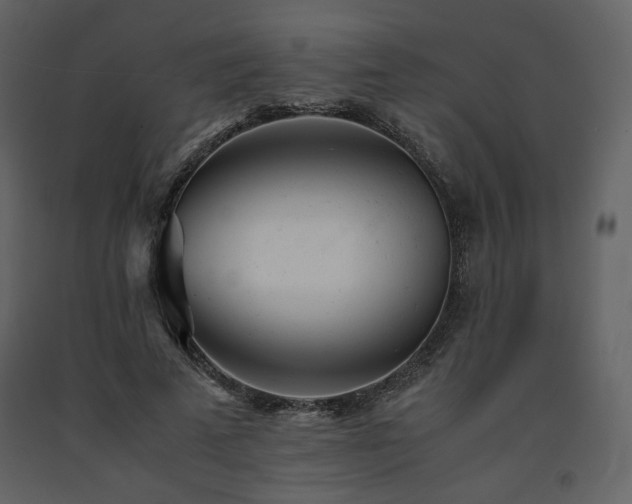 X0000091660689200708231306