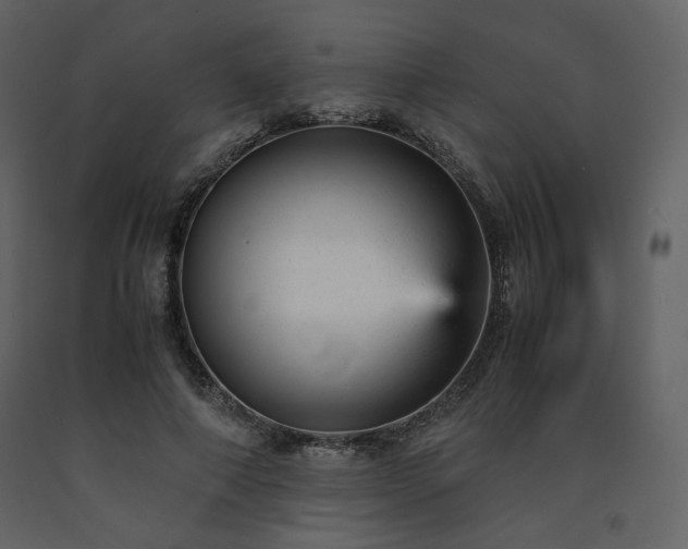 X0000091660690200708231306