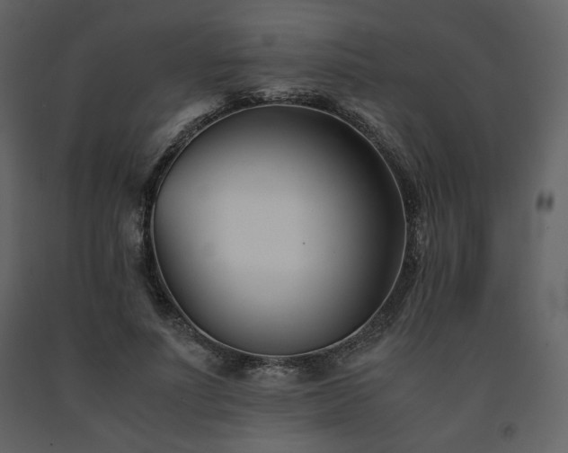X0000091660691200708231306