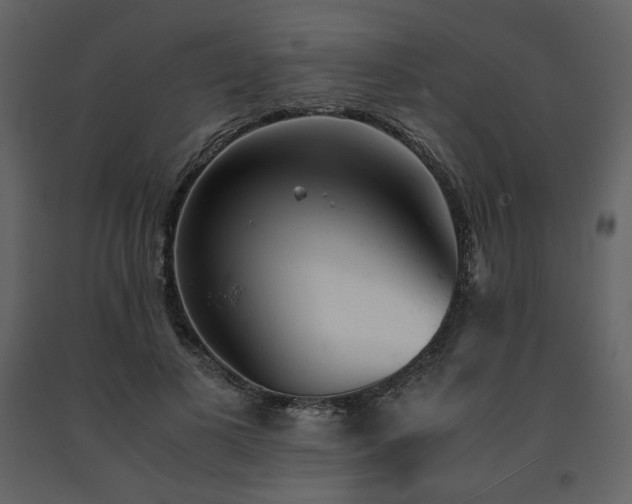 X0000091660693200708231306
