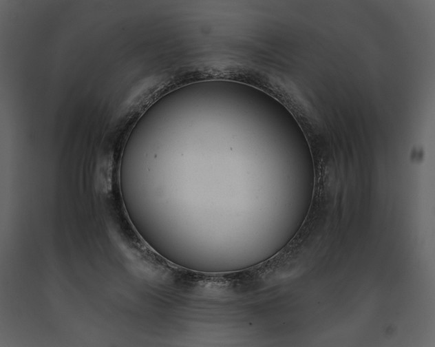 X0000091660694200708231306