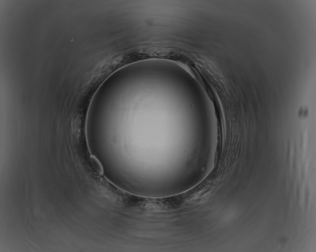X0000091660697200708231306