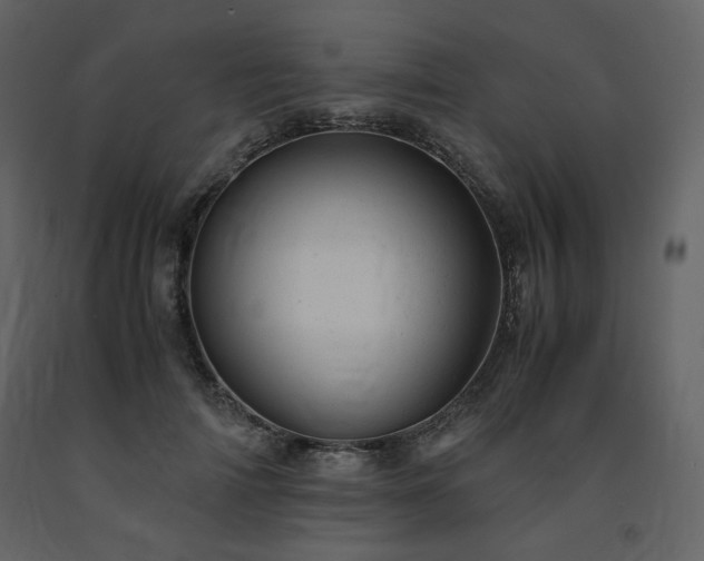 X0000091660698200708231306