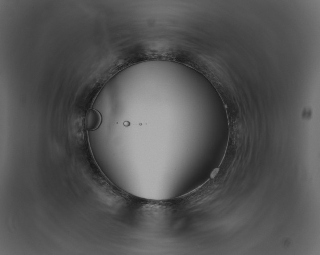 X0000091660699200708231306