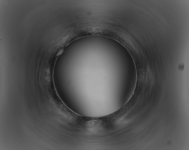 X0000091660700200708231306