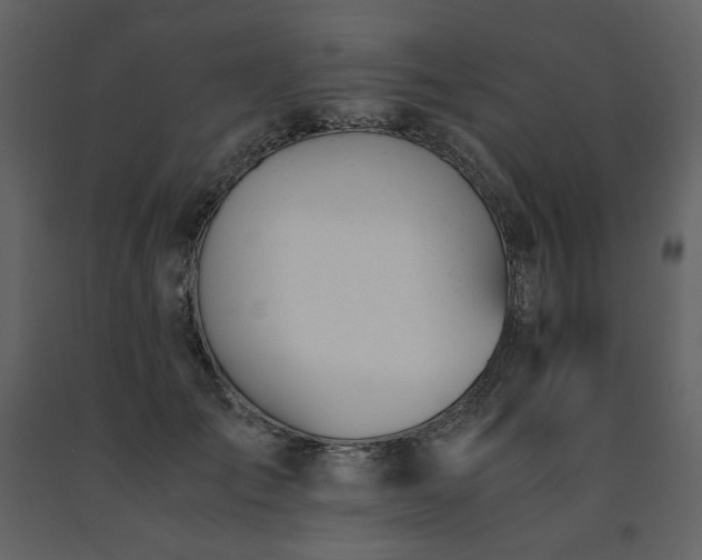 X0000091660701200708231306