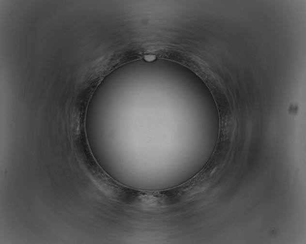 X0000091660703200708231306