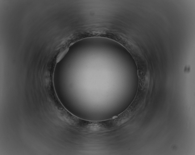 X0000091660704200708231306