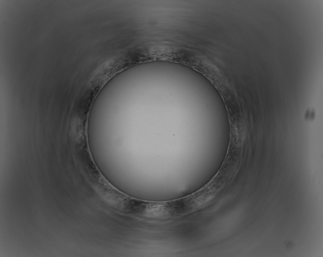 X0000091660705200708231306