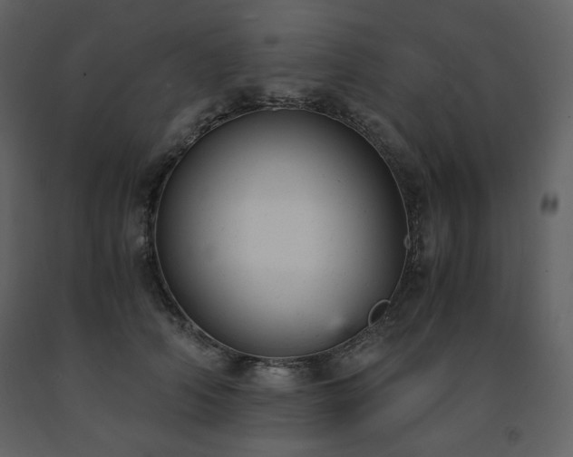 X0000091660706200708231306